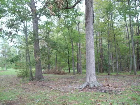 120 Low Tide Ln, Bath, NC 27808 photo 9