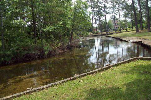 189 Mcgowan Rd, Bath, NC 27808 photo 8