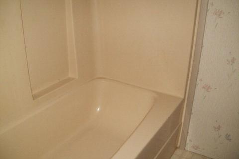 189 Mcgowan Rd, Bath, NC 27808 photo 17