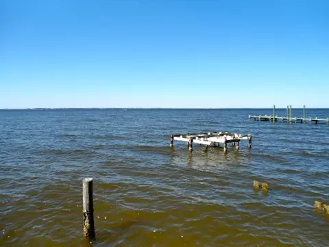 449 Chambers Point Rd, Belhaven, NC 27810 photo 15