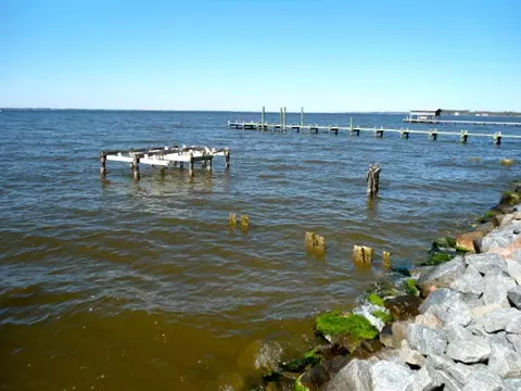 449 Chambers Point Rd, Belhaven, NC 27810 photo 20