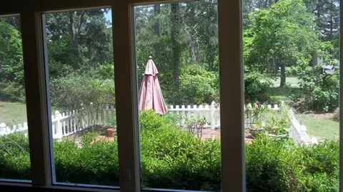 6795 River Rd, Washington, NC 27889 photo 18