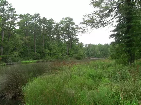 484 Kirby Grange Ave, Bath, NC 27808 photo 2