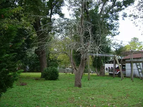 523 E 2nd St, Washington, NC 27889 photo 19