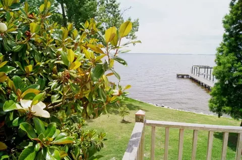 153 Rest Haven Rd, Bath, NC 27808 photo 30
