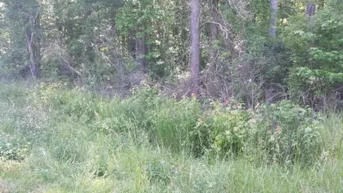 4163 W West Rd, Aurora, NC 27806 photo 7