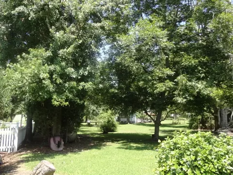 737 E Main St, Belhaven, NC 27810 photo 27