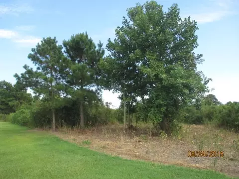 340 Jackson Swamp Rd, Bath, NC 27808 photo 25