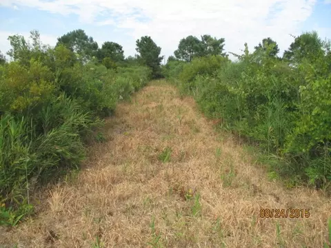 340 Jackson Swamp Rd, Bath, NC 27808 photo 26