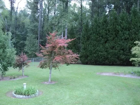 10187 E Nc Highway 33, Chocowinity, NC 27817 photo 19