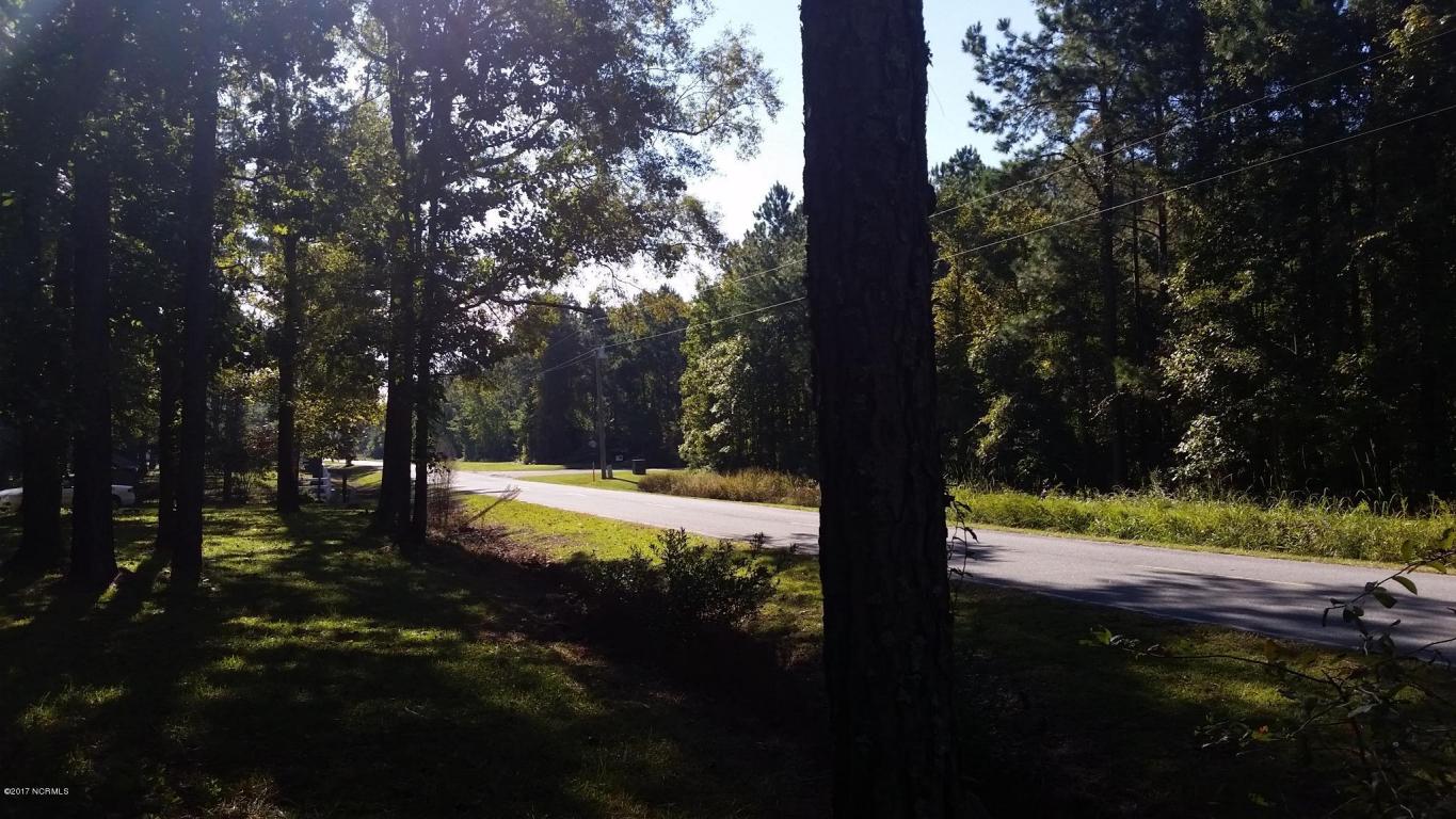 155 Mcgowan Rd, Bath, NC 27808 photo 22