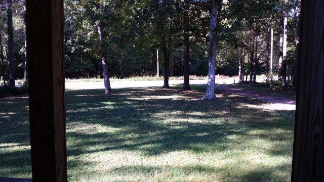 155 Mcgowan Rd, Bath, NC 27808 photo 8