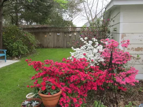 409 E Main St, Washington, NC 27889 photo 39