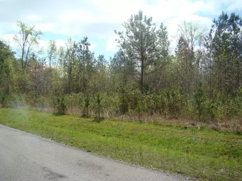 710 White Post Rd, Bath, NC 27808 photo 1