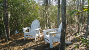 901 Teachs Point Rd, Bath, NC 27808 photo 7
