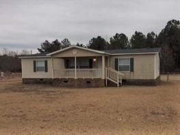 467 Durham Lake Rd, Dudley, NC 28333 photo 1