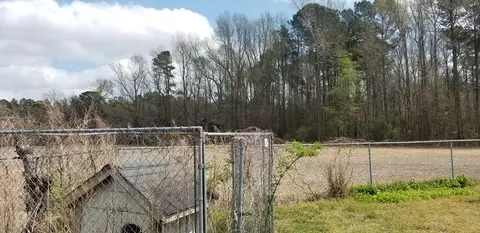 3846 Wyse Fork Rd, Dover, NC 28526 photo 4