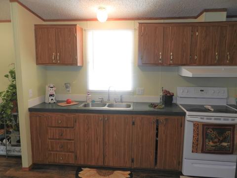 2210 Grantham School Rd, Mount Olive, NC 28365 photo 23