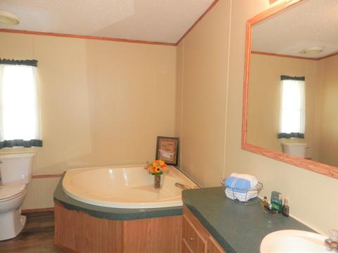 2210 Grantham School Rd, Mount Olive, NC 28365 photo 29