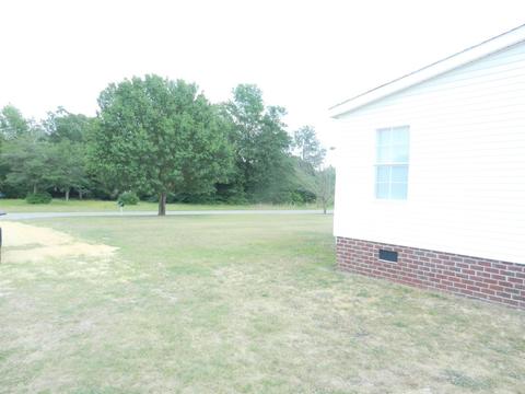 2210 Grantham School Rd, Mount Olive, NC 28365 photo 44