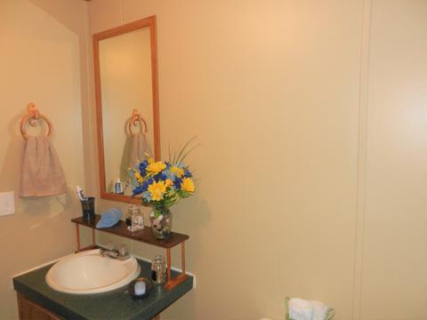 2210 Grantham School Rd, Mount Olive, NC 28365 photo 18