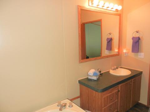 2210 Grantham School Rd, Mount Olive, NC 28365 photo 30