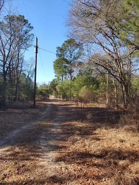 135 Webber, Dudley, NC 28333 photo 2