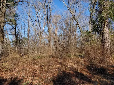 135 Webber, Dudley, NC 28333 photo 1