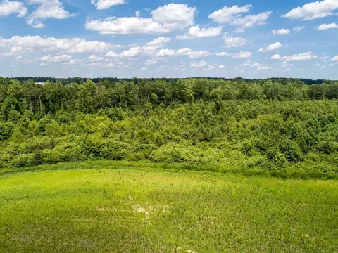 0 Stevens Chapel Rd, Smithfield, NC 27577 photo 13