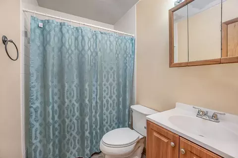 203 Zeb Ln, Benson, NC 27504 photo 17