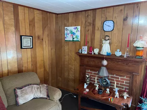 203 Main St, Mount Olive, NC 28365 photo 4