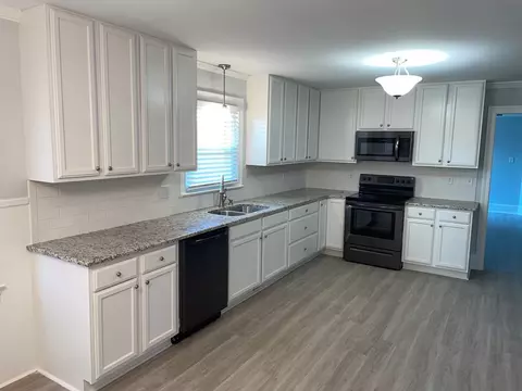 928 Old Smith Chapel Rd, Mount Olive, NC 28365 photo 2
