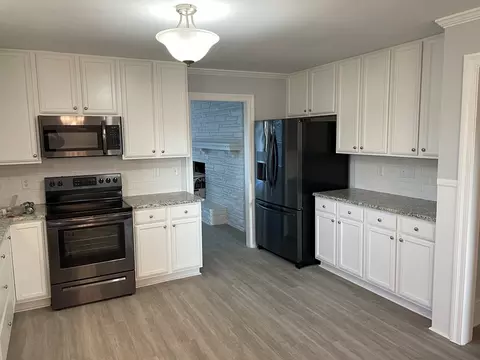 928 Old Smith Chapel Rd, Mount Olive, NC 28365 photo 3