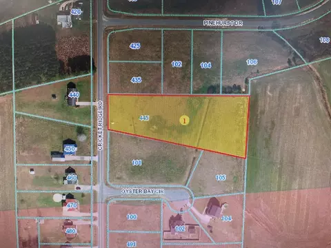 445 Cricket Ridge Rd, Mount Olive, NC 28365
