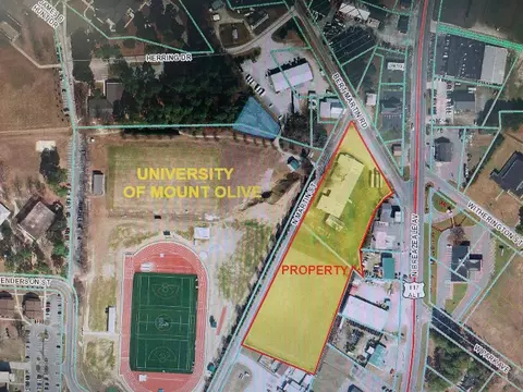 103 Bert Martin Rd, Mount Olive, NC 28365