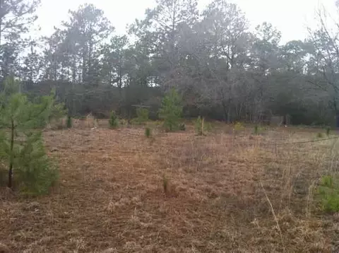 181 Van Riggs Rd, Hubert, NC 28539 photo 1