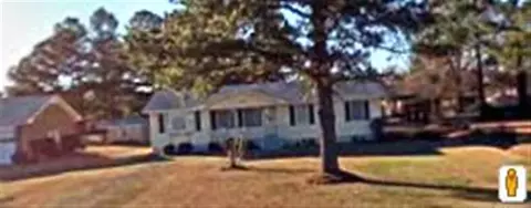 110 Turtle Shell Rd, Richlands, NC 28574 photo 1