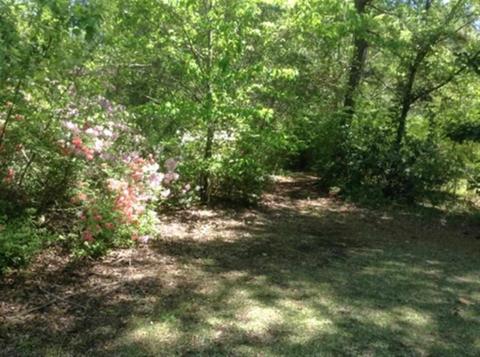 1293 Gregory Fork Rd, Richlands, NC 28574 photo 13