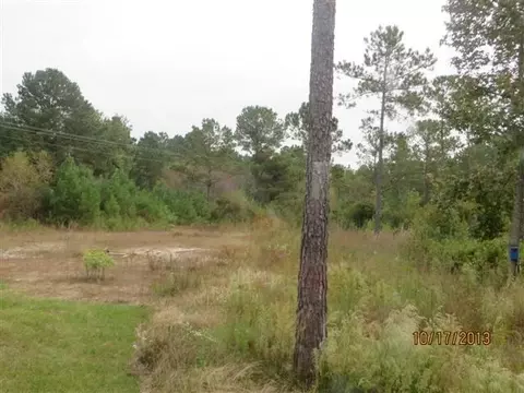 103 Boysenberry Fields Rd, Maple Hill, NC 28454 photo 8