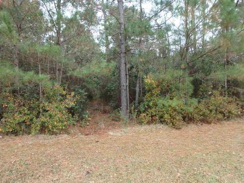 493 Groves Point Dr, Hampstead, NC 28443 photo 21