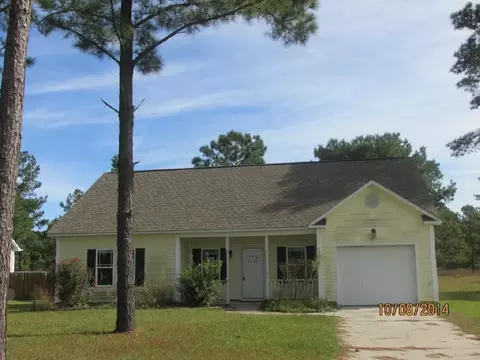 111 Boysenberry Fields Rd, Maple Hill, NC 28454 photo 1