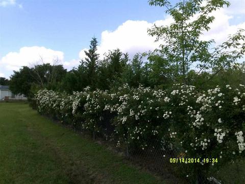 83 Millis Farm Rd, Hampstead, NC 28443 photo 3