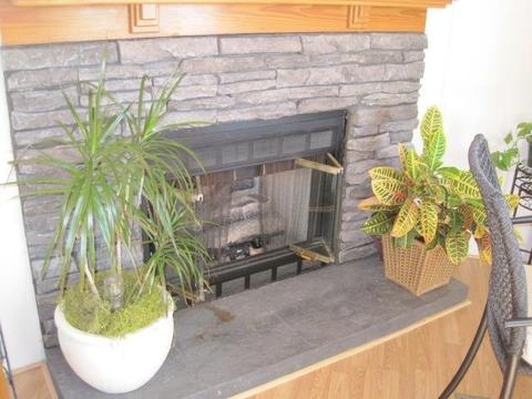 83 Millis Farm Rd, Hampstead, NC 28443 photo 21