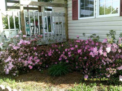 83 Millis Farm Rd, Hampstead, NC 28443 photo 2