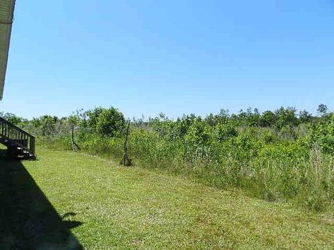 331 Gurganus Rd, Maple Hill, NC 28454 photo 3
