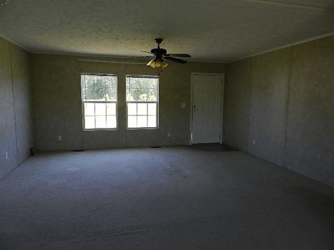 331 Gurganus Rd, Maple Hill, NC 28454 photo 16