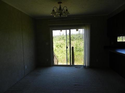 331 Gurganus Rd, Maple Hill, NC 28454 photo 11