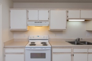 217 Faison Ln, Hubert, NC 28539 photo 9