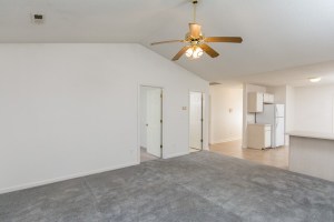 217 Faison Ln, Hubert, NC 28539 photo 5