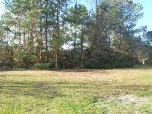 229 E Ivybridge Dr, Hubert, NC 28539 photo 13